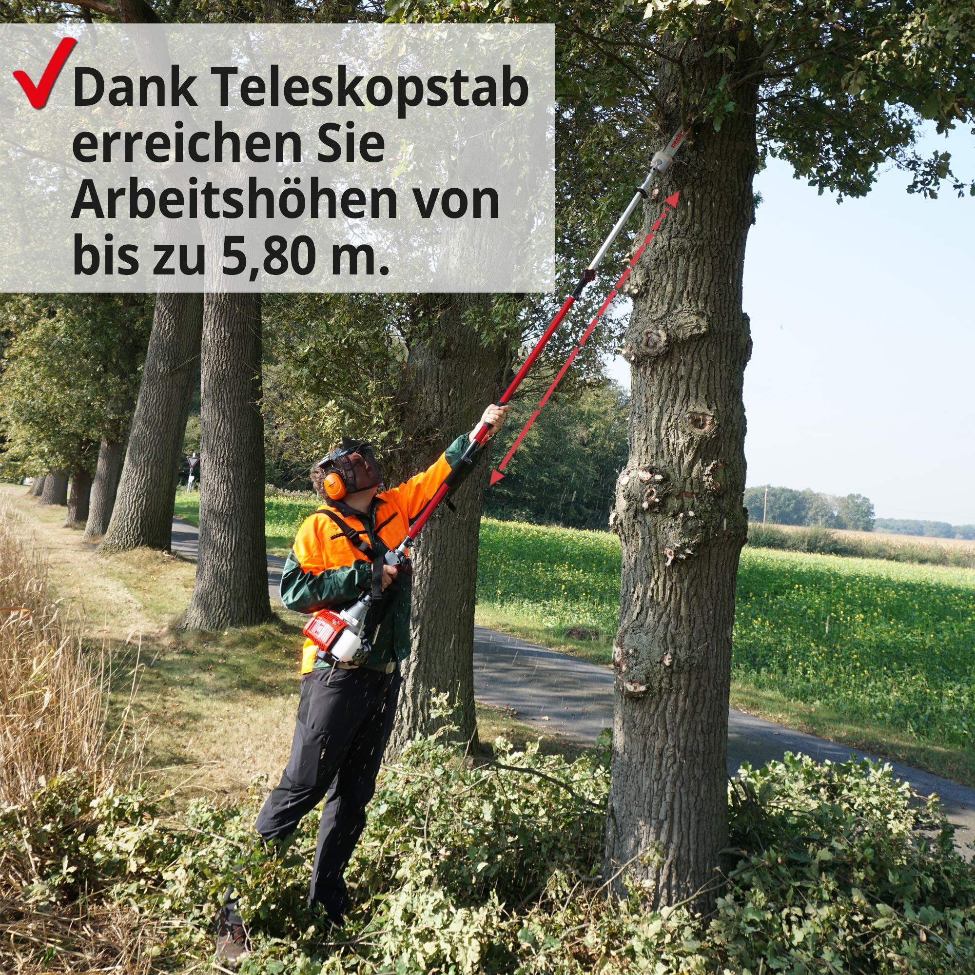 hecht-benzin-hochentaster-teleskop-26-cm-34-cm-schwert image 2