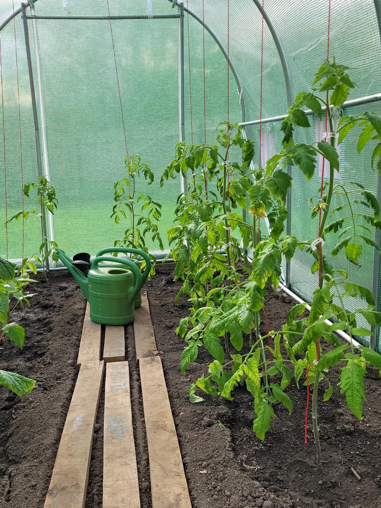 Netter Gartenblick