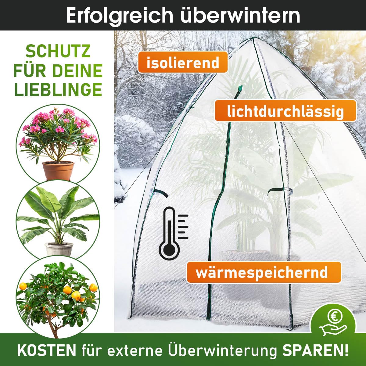 brast-berwinterungszelt-160x160x180-cm-mit-gew-chshausheizung image 3