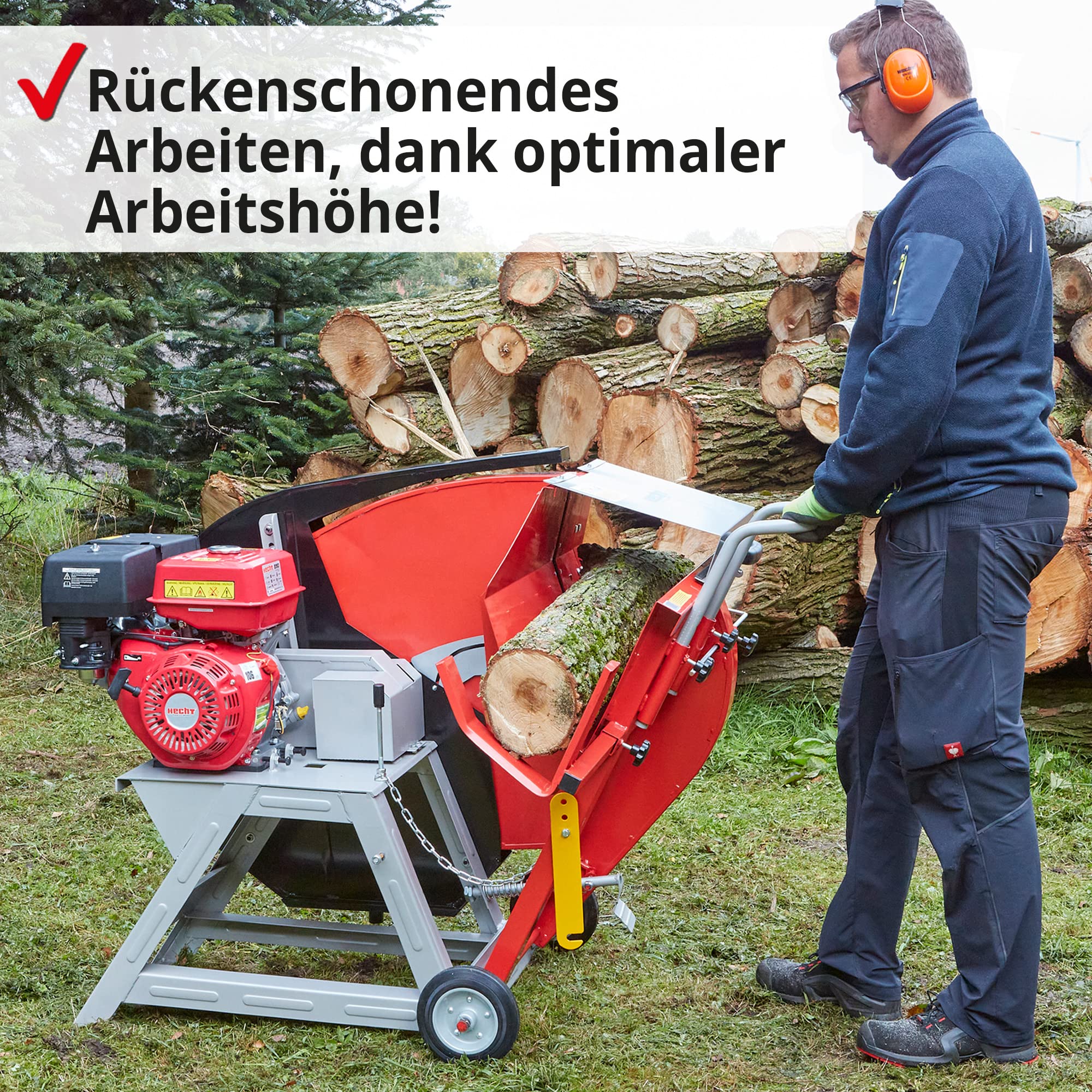 hecht-benzin-wipps-ge-700-mm-hm-13-ps-brennholz image 2