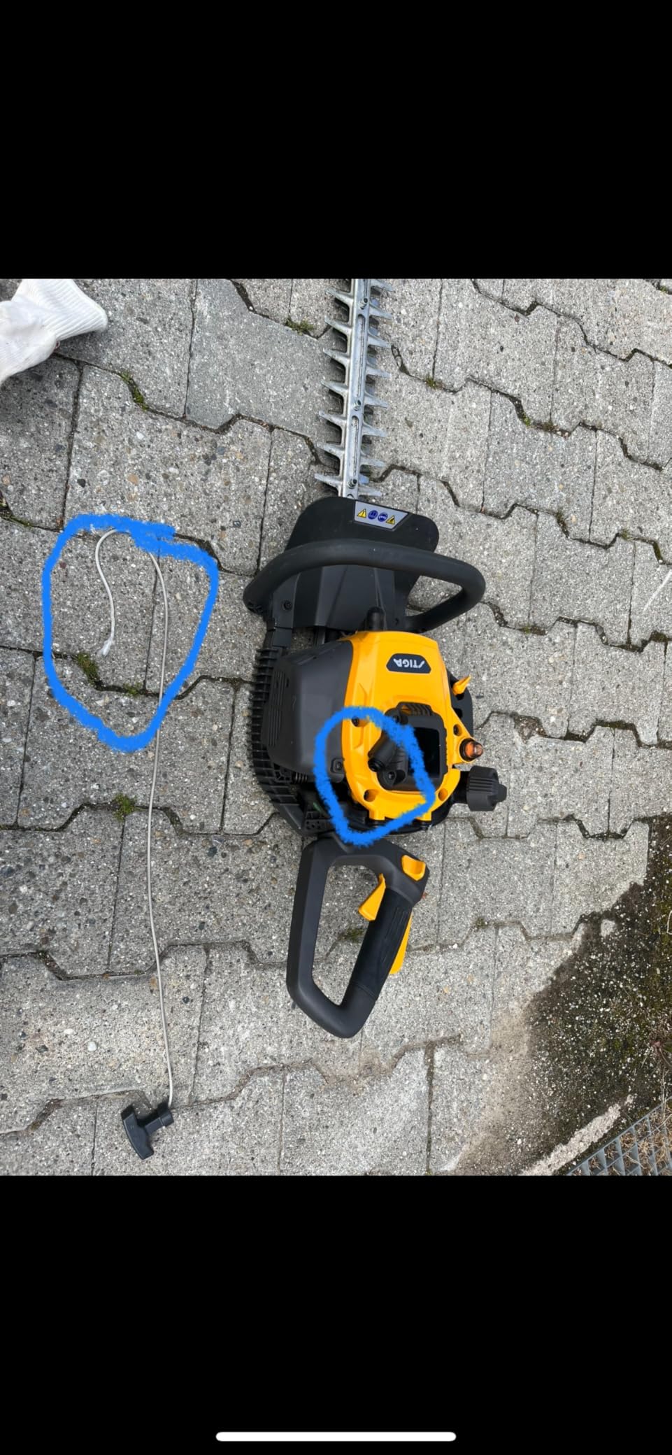 Top für Hecke